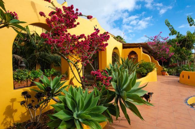 Luna - Finca Manana Los Llanos De Aridane Exterior foto